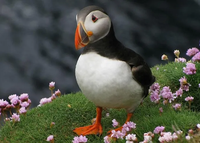 The Old Cable Historic House & Seafood Restaurant