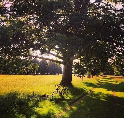The Old Cable Historic House & Seafood Restaurant An Coireán